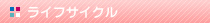 ライフサイクル