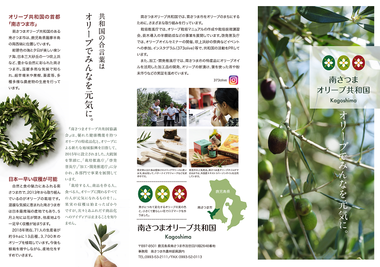 1 1leaflet310318olive.png