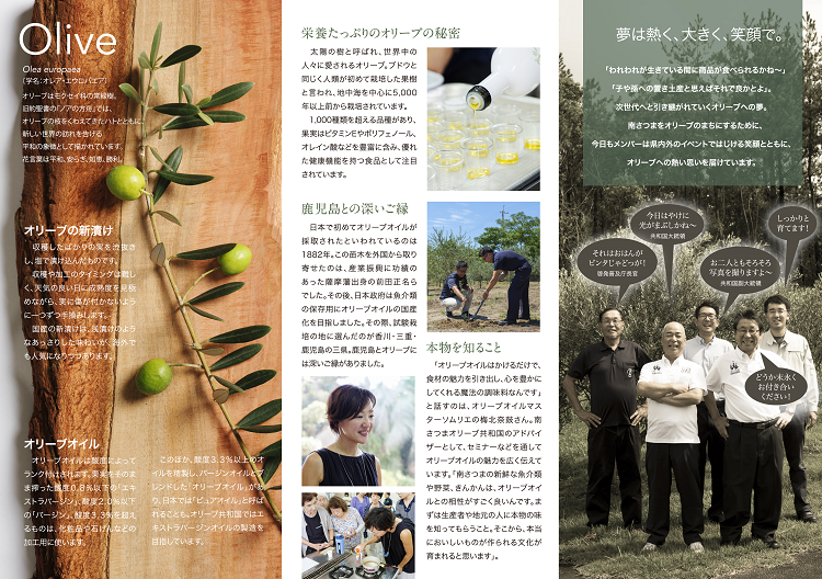 2 2leaflet310318olive.png