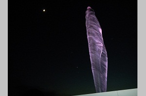 H25-11-29-12-26hikarinosaiten2.jpg