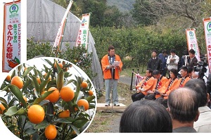 H25116haruhime1.jpg