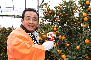 H25116haruhime2.jpg