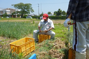 H25512rupinasu1.jpg