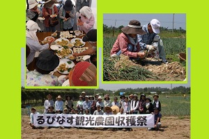 H25512rupinasu2.jpg