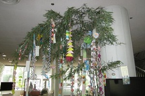 H26-7-3tanabata1.jpg