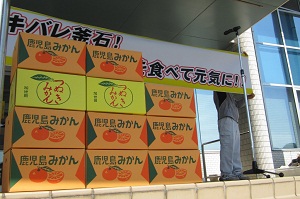 H241029tsunukimikan1.jpg