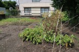 21niwa3th20250512kaseda605.jpg