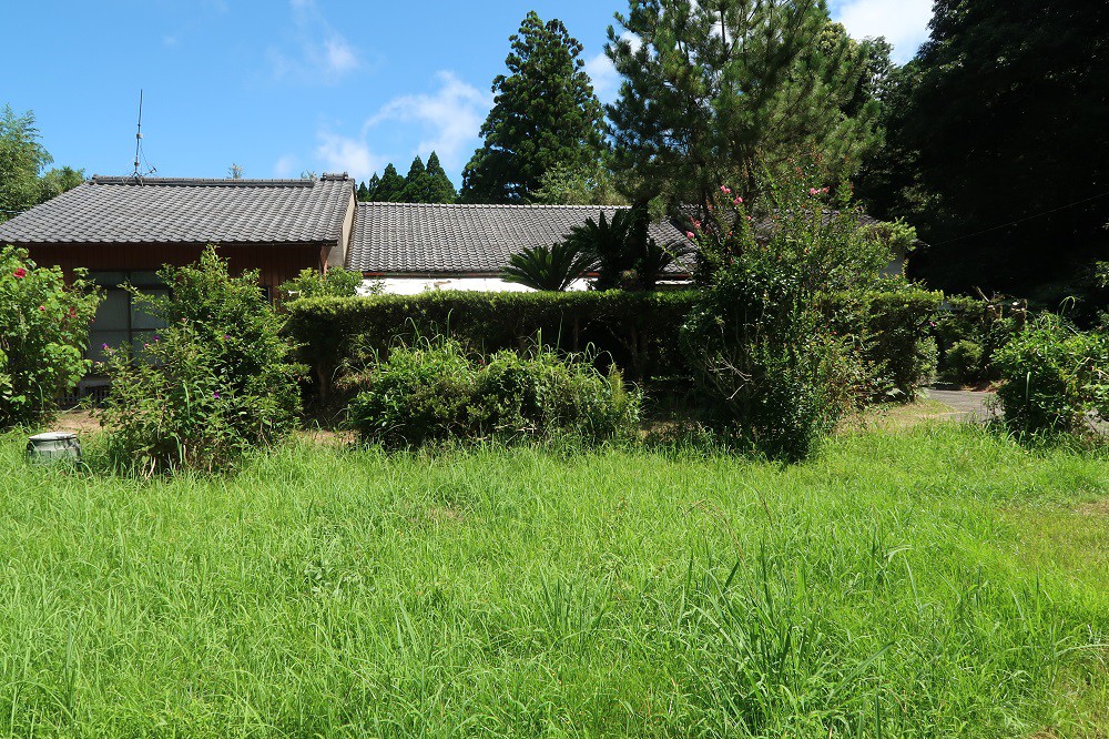 1gaikan20240819kinpou529.jpg