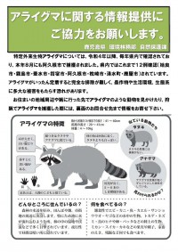 1syuuchi202408araiguma.jpg