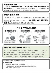 2syuuchi202408araiguma.jpg