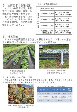 2tyuui2th20250703kukinegusare2.jpg