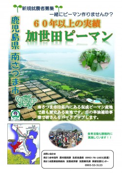 1kasedapi-man_r8-0424.jpg