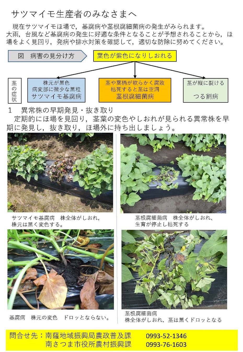 https://www.city.minamisatsuma.lg.jp/business/images/1tyuui1th20250703kukinegusare.jpg