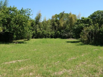17hatake20240528kaseda188.jpg