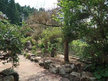 17niwa20240508kaseda186.jpg