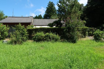 1gaikan20240819kinpou529.jpg