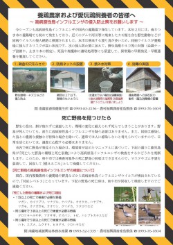 1avianinfluenza202411.jpg