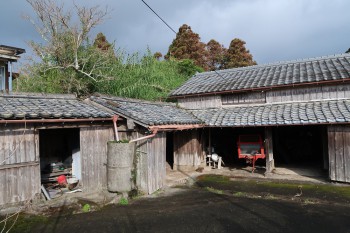 13fuzokuya20241208bounotsu333.jpg