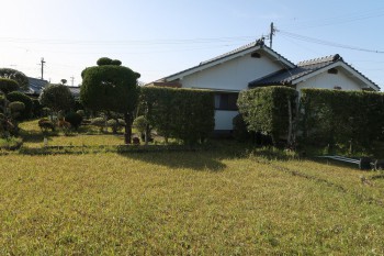 14niwa2th20250404kaseda604.jpg