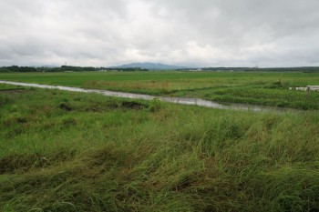 22fuukei20250602kinpou534.JPG