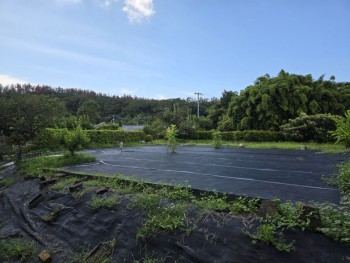 18hatake20250919kinpou536.jpg