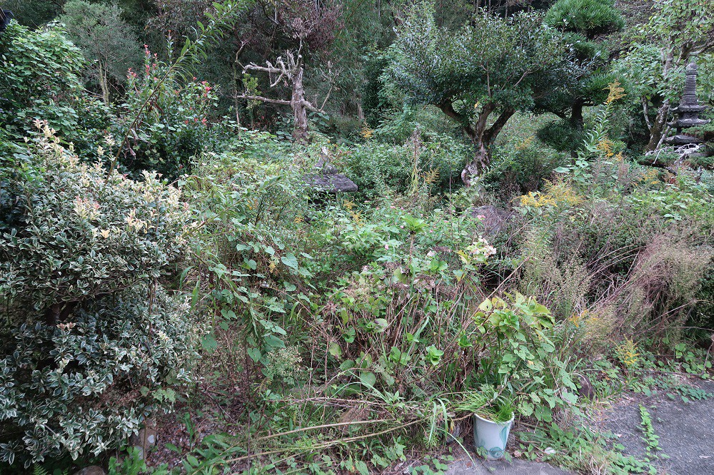 https://www.city.minamisatsuma.lg.jp/living/images/17niwa20241111kaseda198.jpg