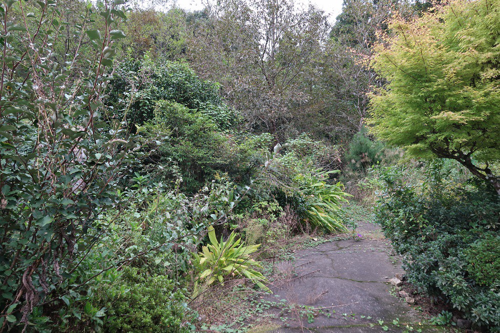 https://www.city.minamisatsuma.lg.jp/living/images/18sanrin20241111kaseda198.jpg