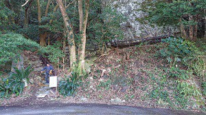 1shiseki050508kushimiryoku.jpg