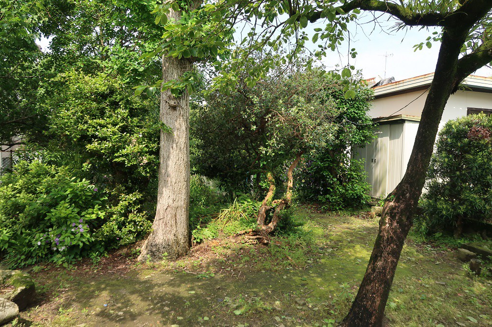 https://www.city.minamisatsuma.lg.jp/living/images/20niwa2th20250512kaseda605.jpg