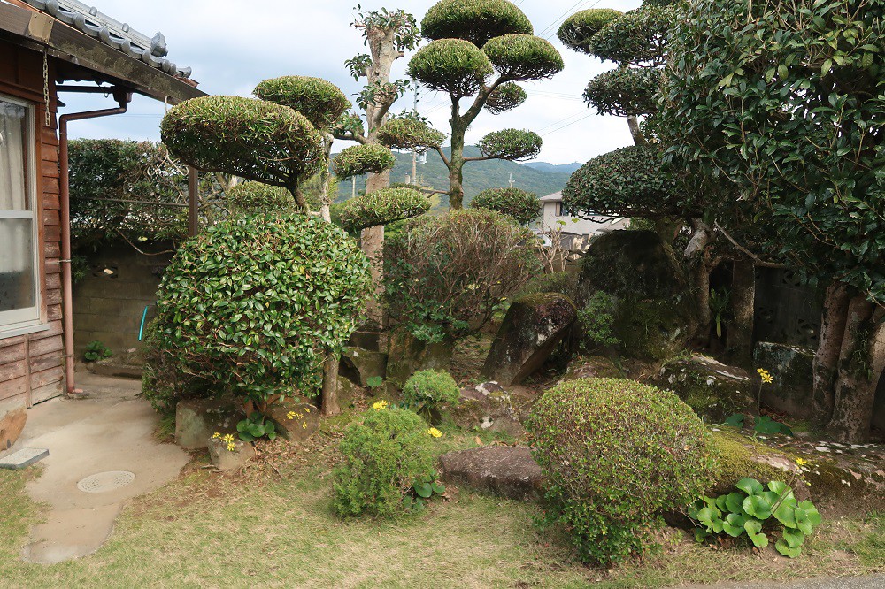 https://www.city.minamisatsuma.lg.jp/living/images/22niwa20241211oura416.jpg