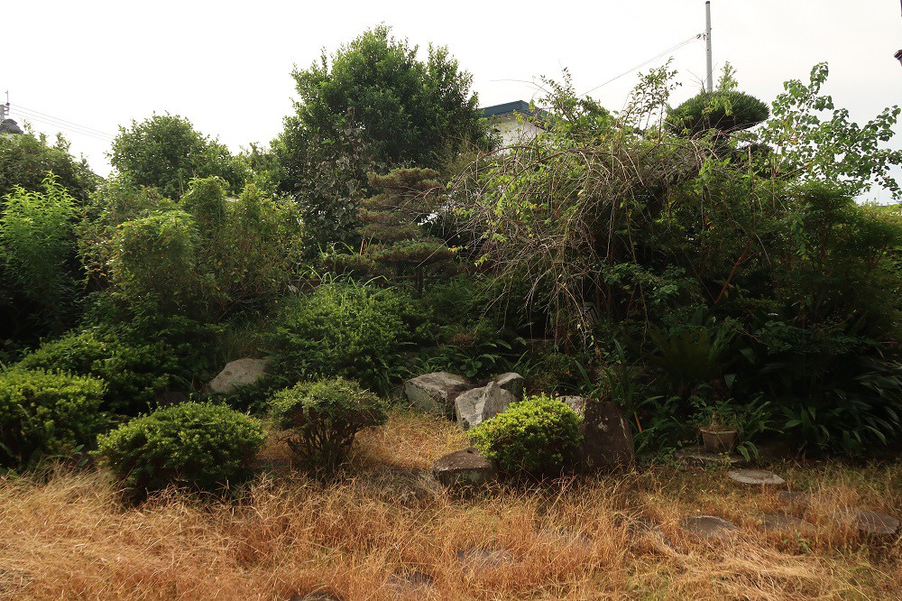 https://www.city.minamisatsuma.lg.jp/living/images/23niwa3th20241017kaseda197.jpg