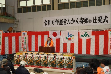 きんかん春姫①.JPG