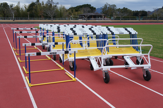 2bihin030106hurdle.png